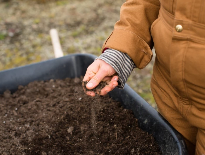 improve garden soil woman touching soil