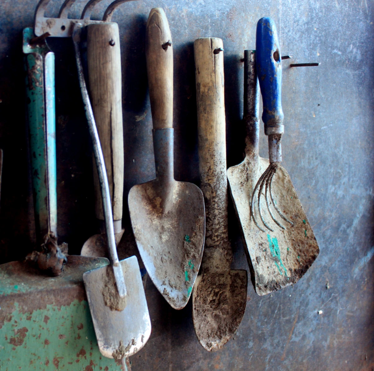 old dirty garden tools