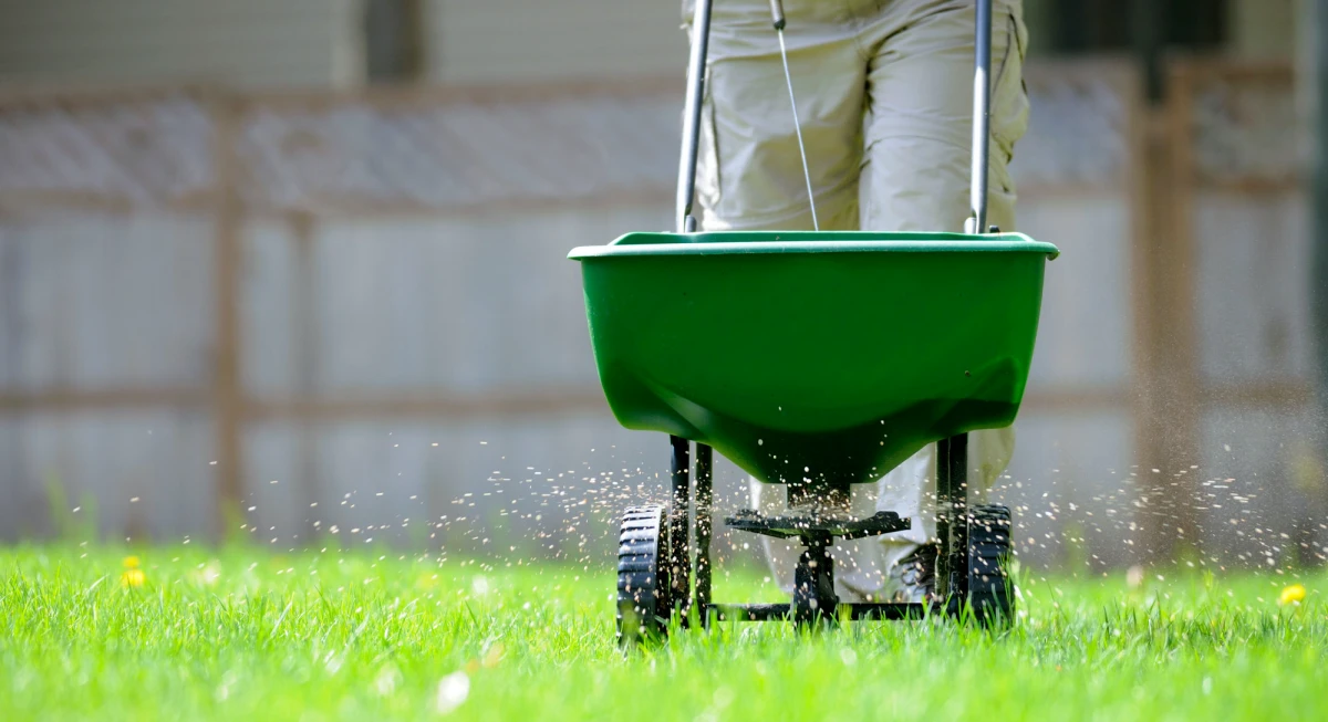 person fertilizing the lawn