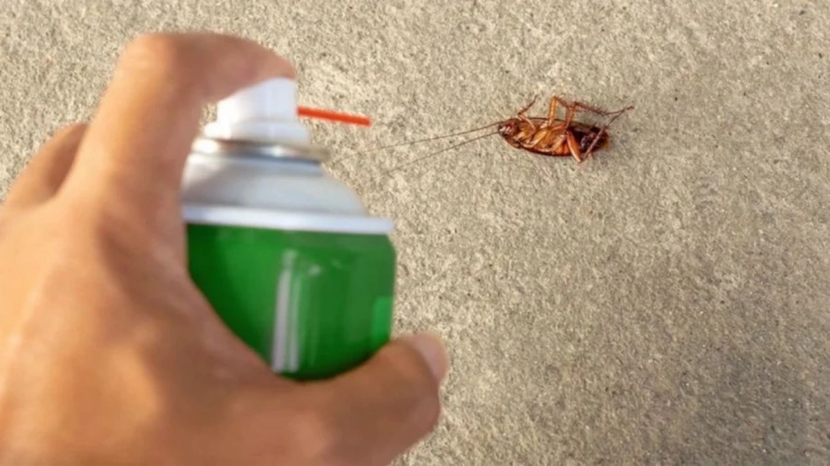 person using spray to kill roach