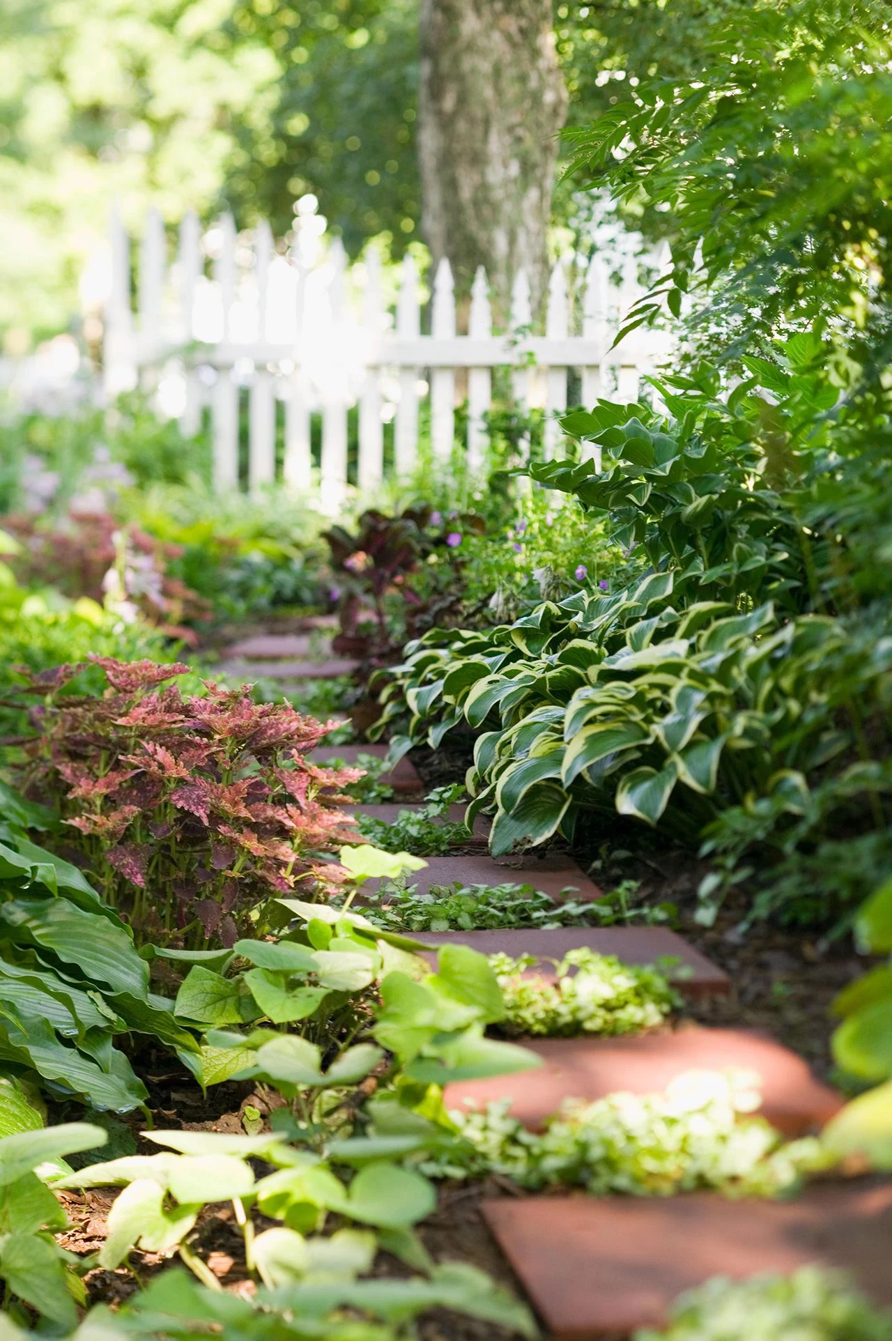 shade garden with brick path