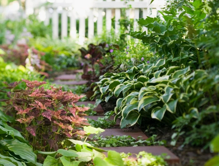 shade garden with brick path