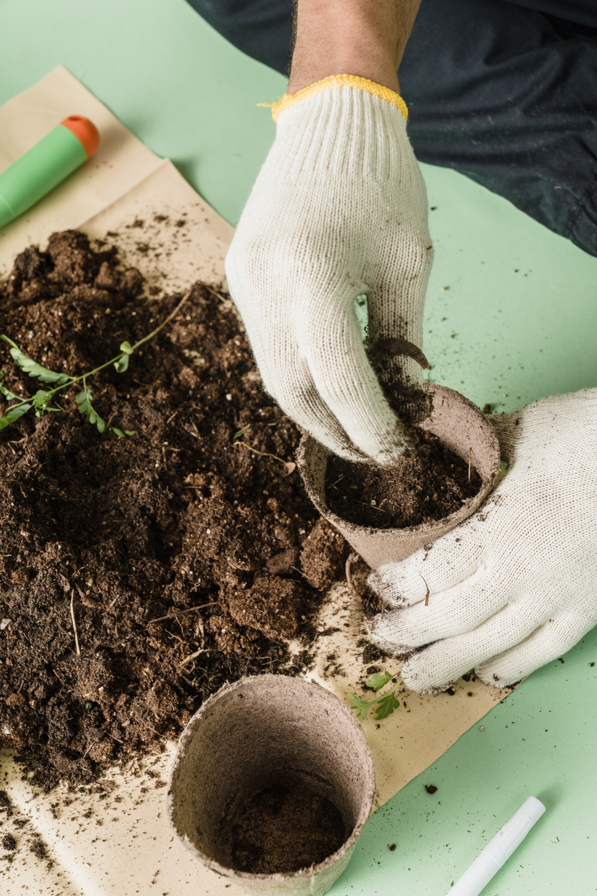 used or unused coffee grounds for plants