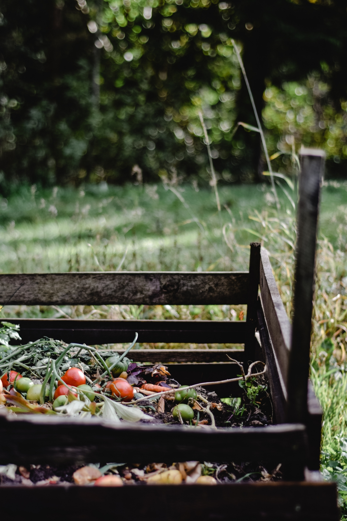 uses for unused coffee grounds in garden