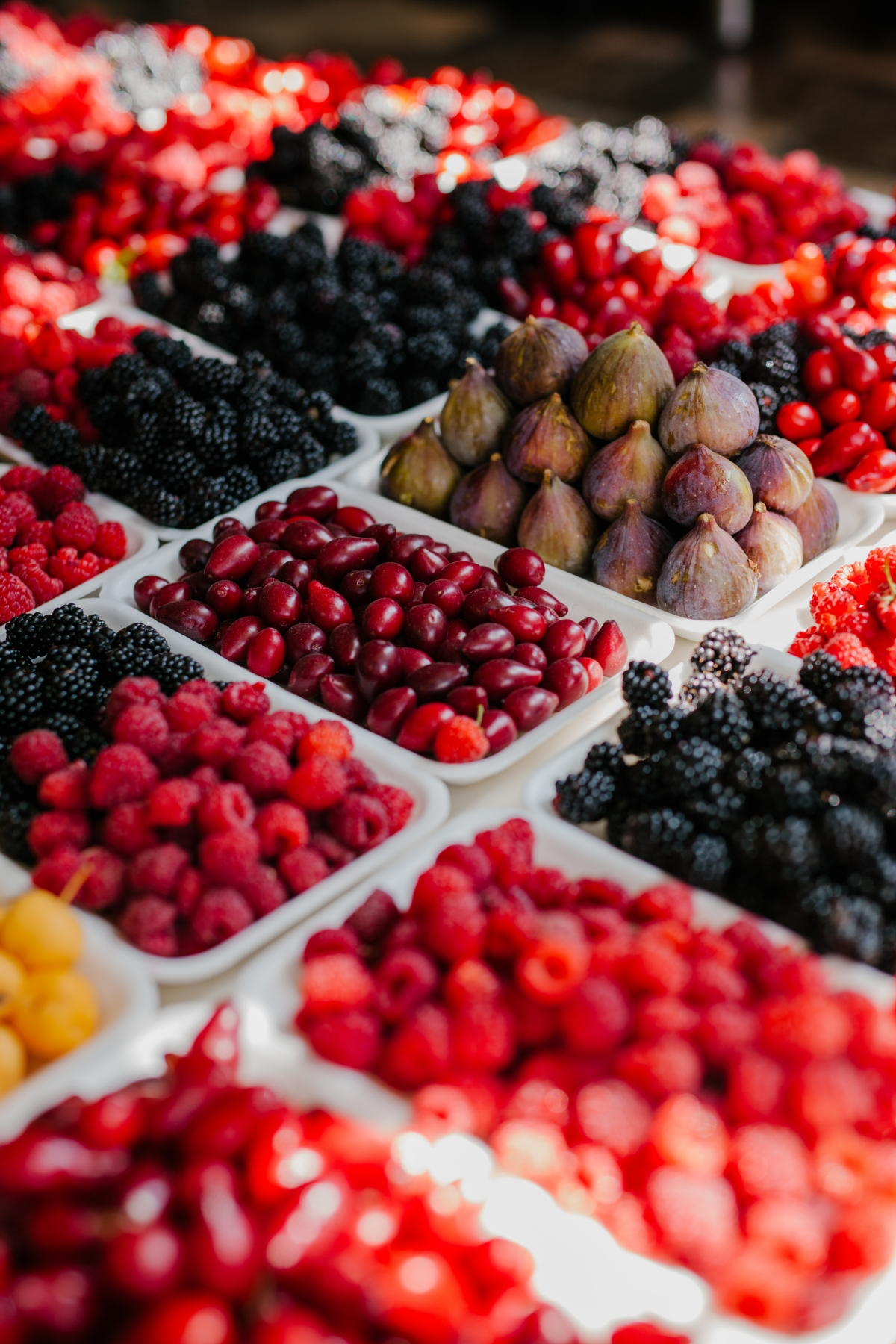 what do raspberries do for your body