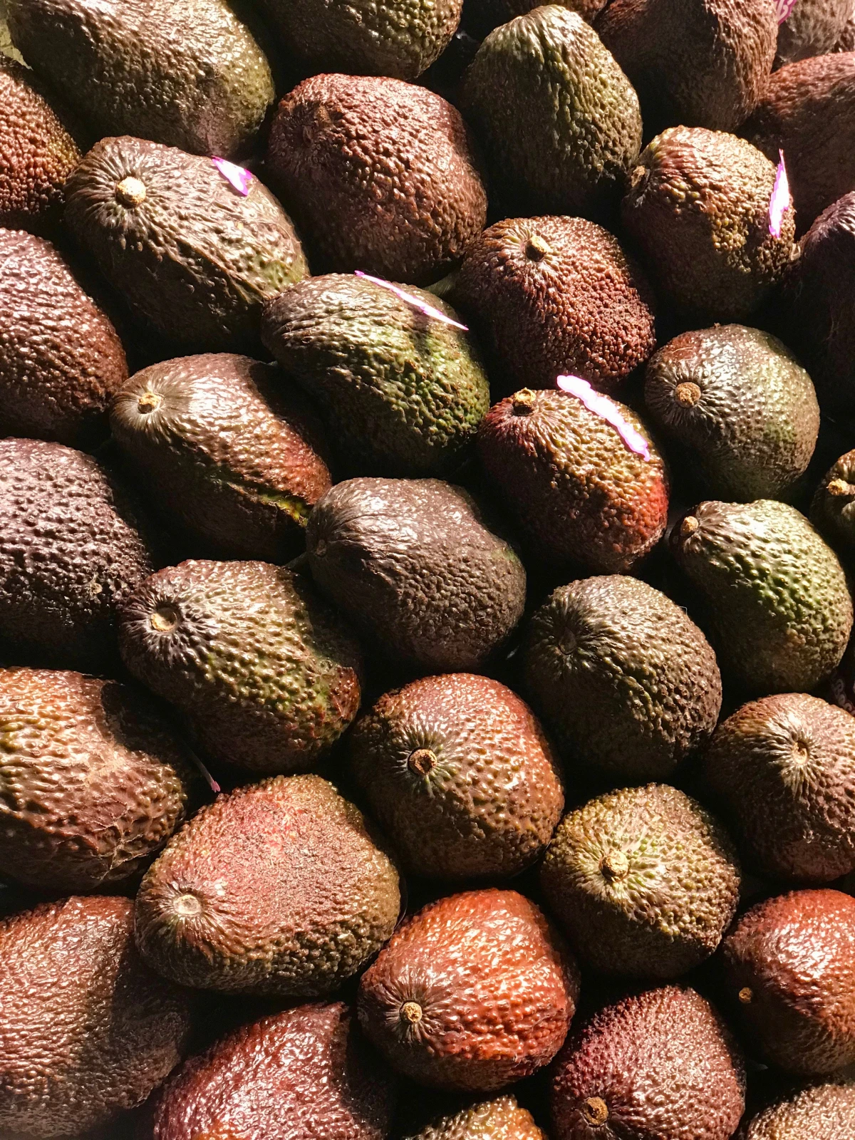 whole avocadoes