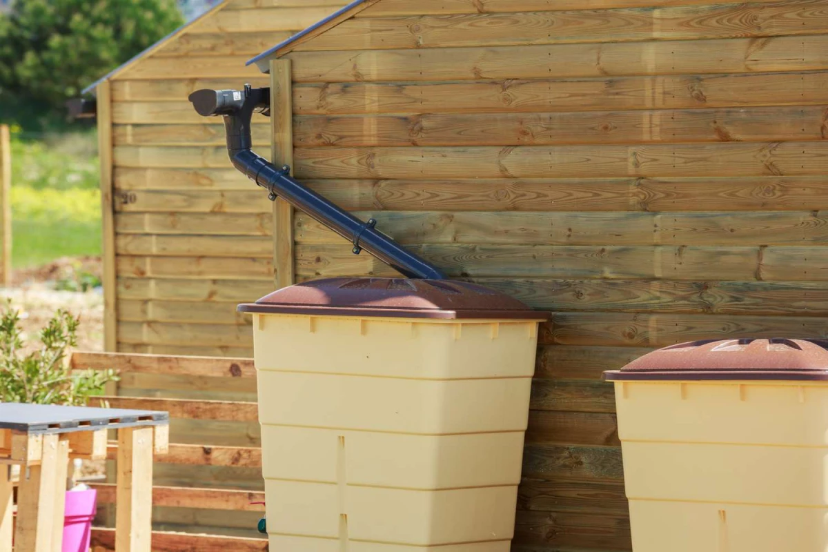 barrels for harvesting rainwater