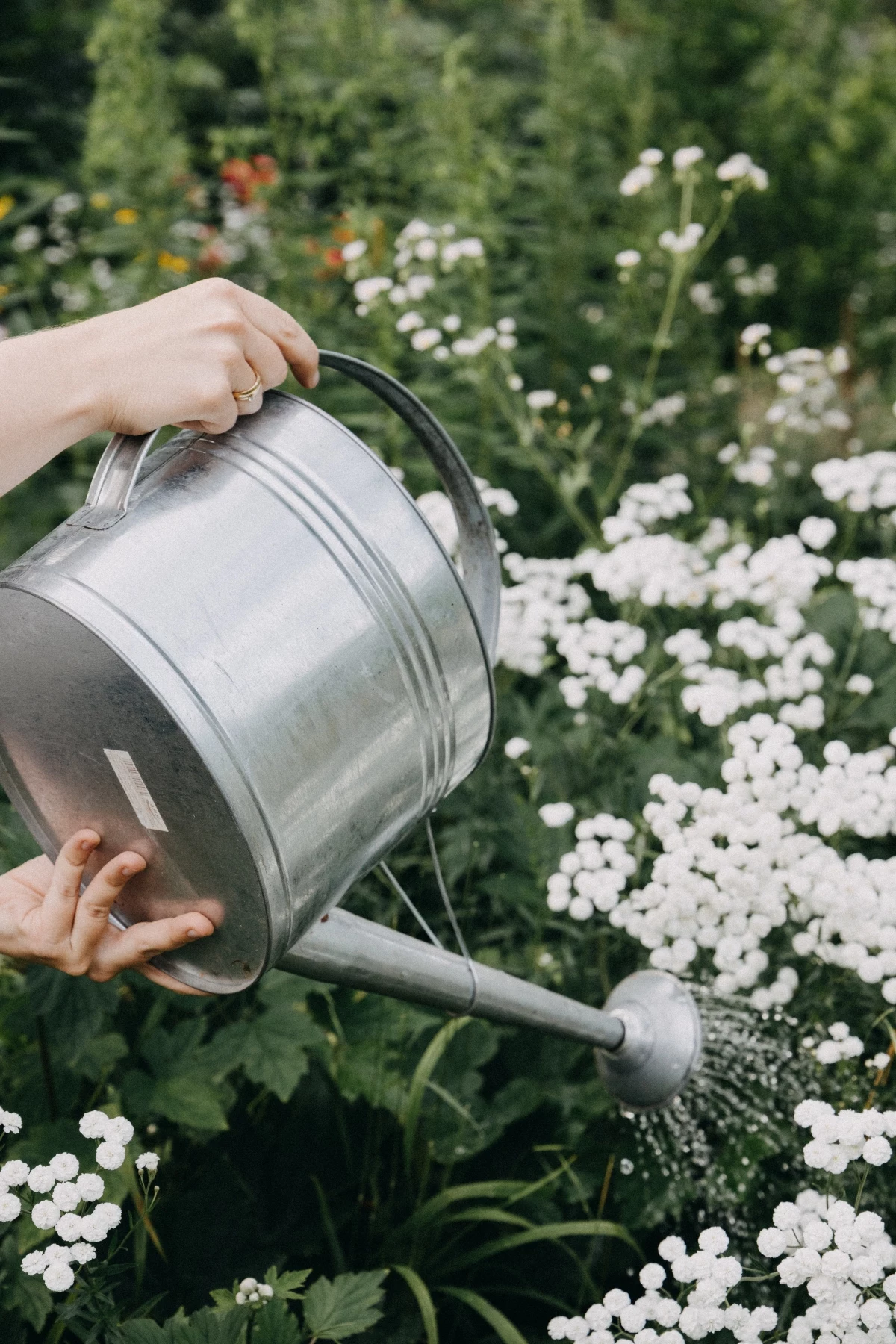 best way to save water in the garden