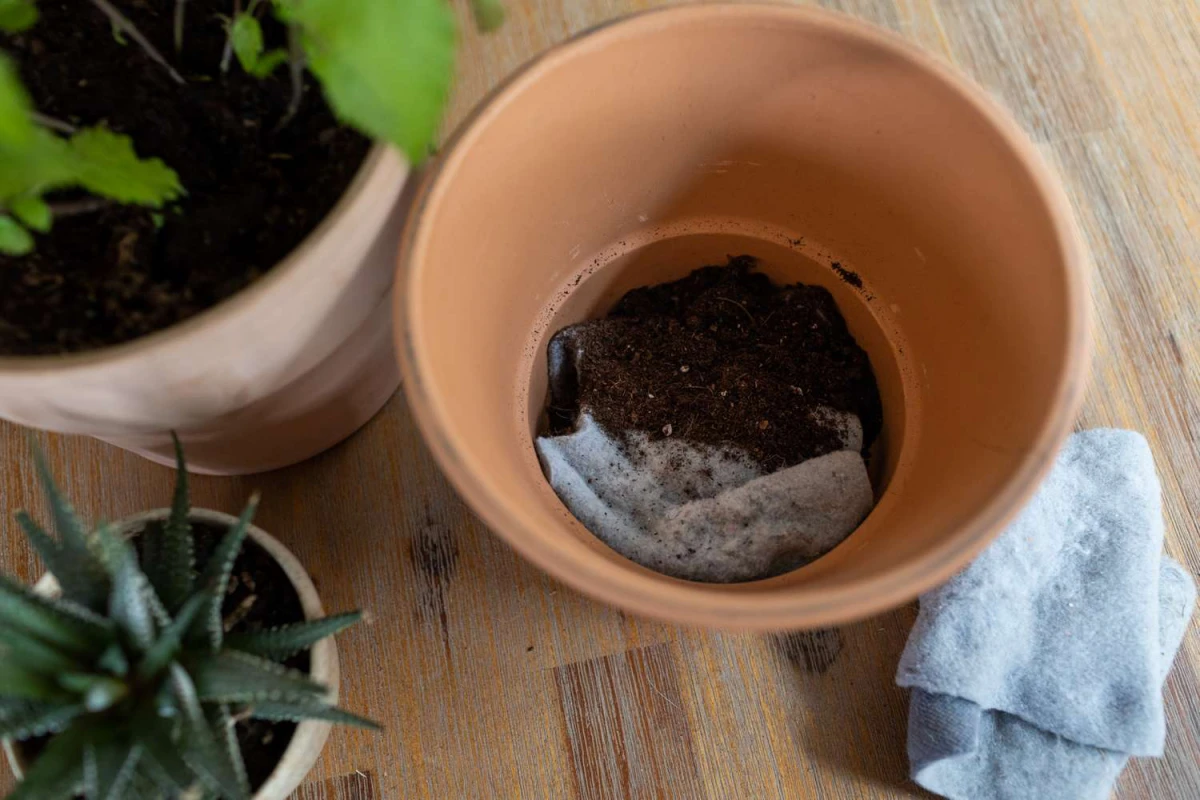 creative uses for dryer lint lint for mulch