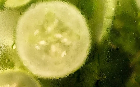 cucumber slices behind glasss