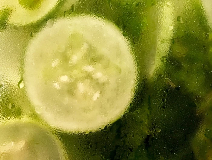cucumber slices behind glasss