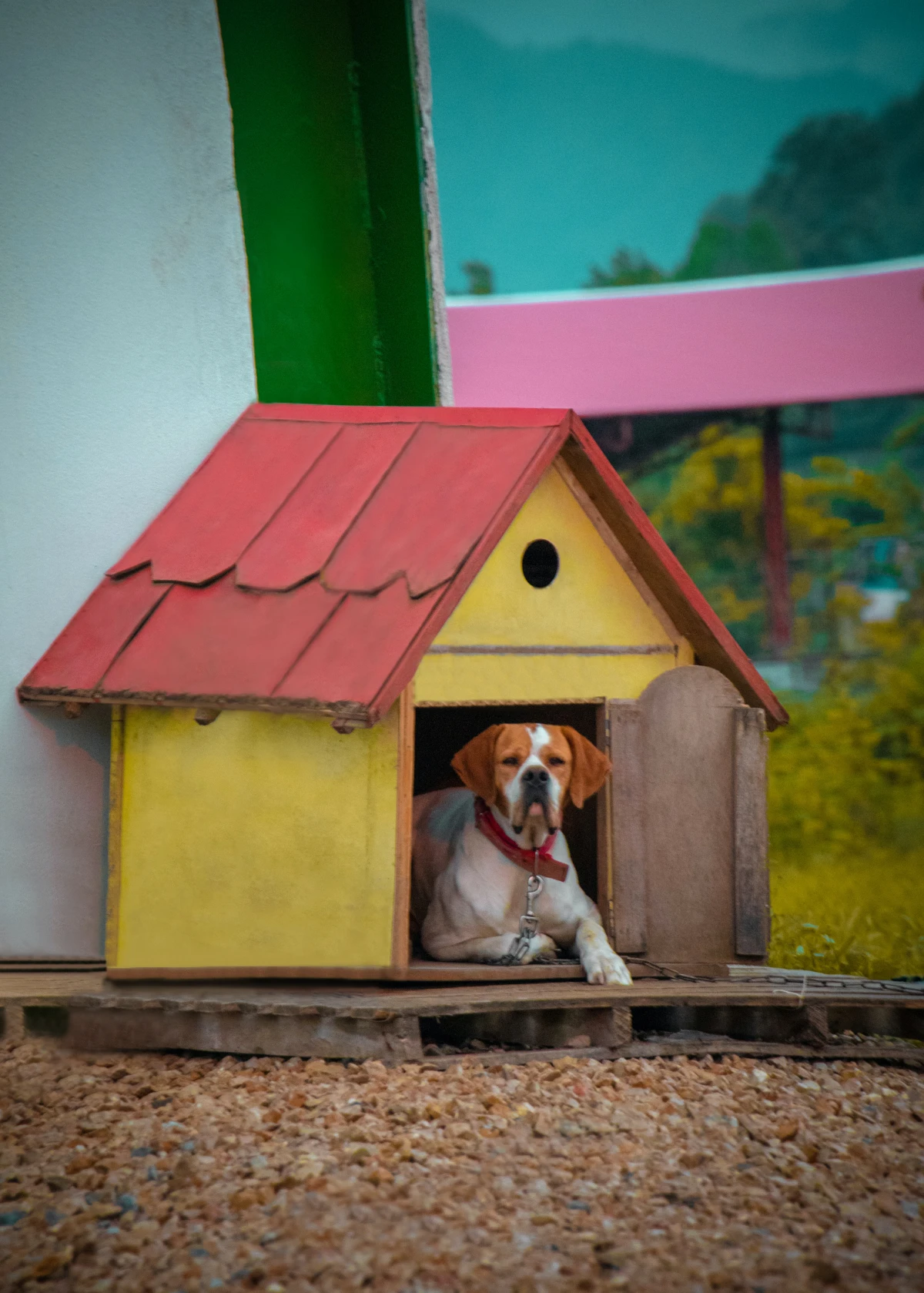 cute yellow dog house
