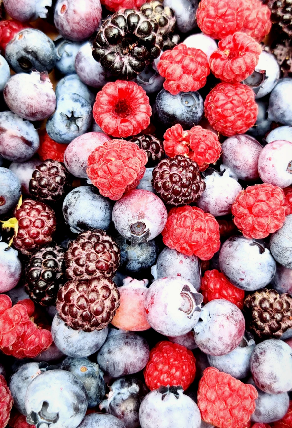 different berries