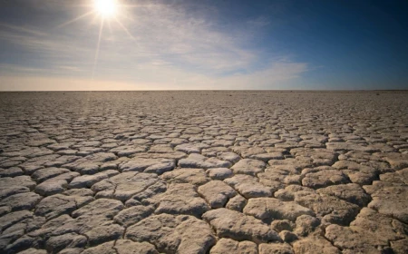 drought desert and sun