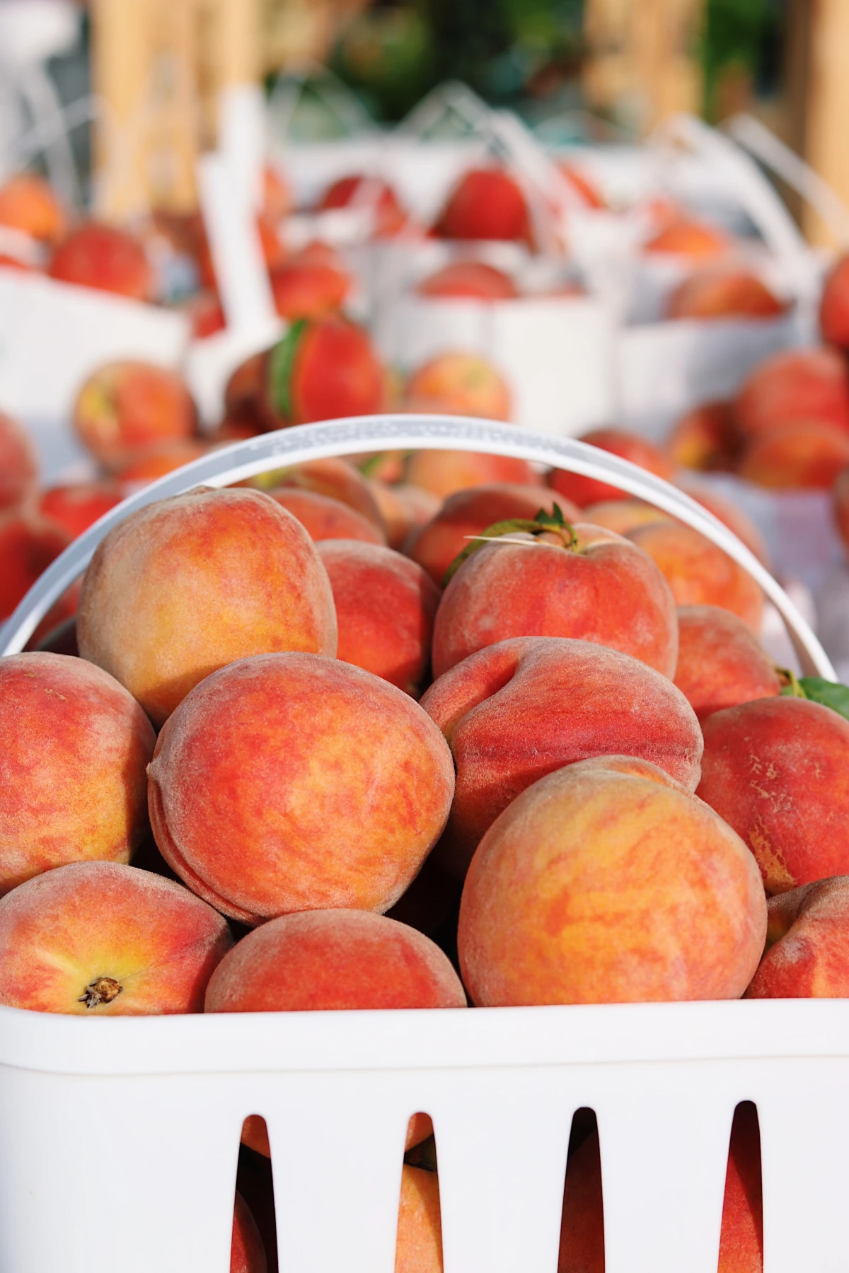 frozen peach shaved ice peaches in containers