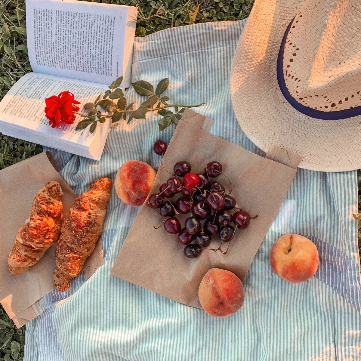 picnic with cherries