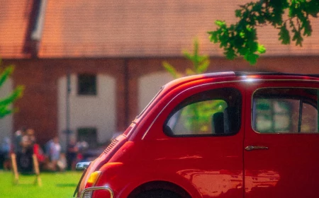 red car under tree