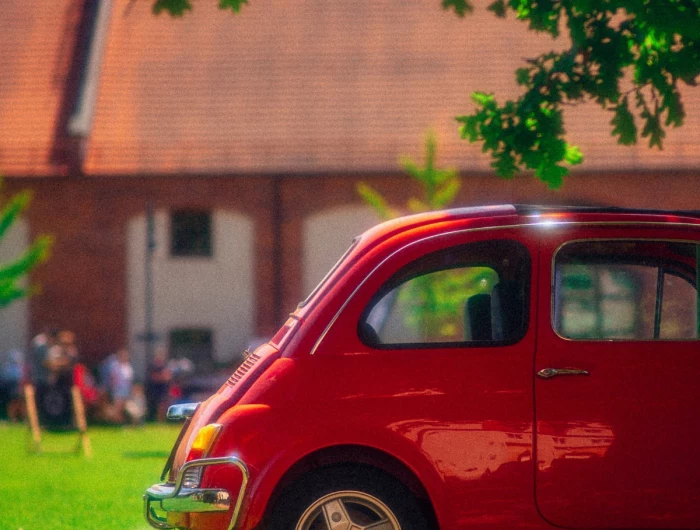 red car under tree