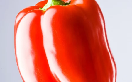 red pepper on white background