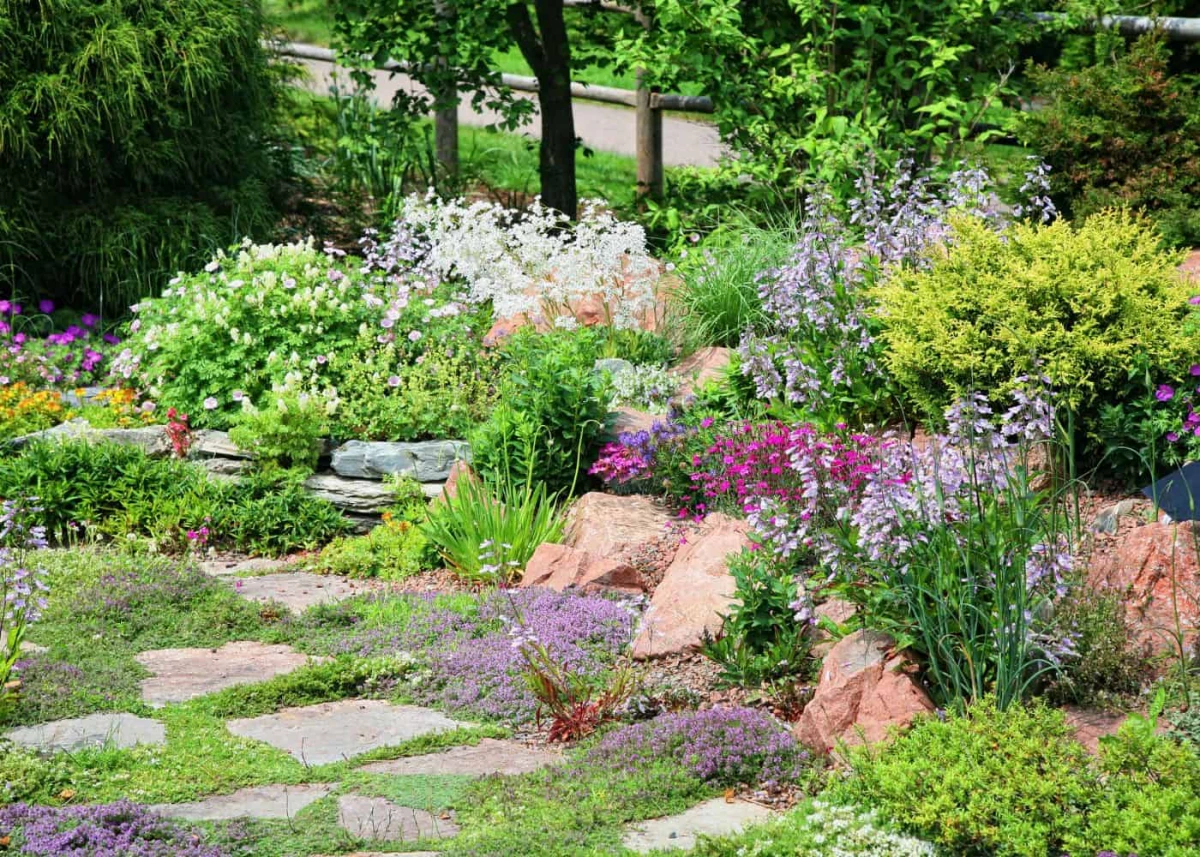 rock garden ideas colorful flowers and rocks