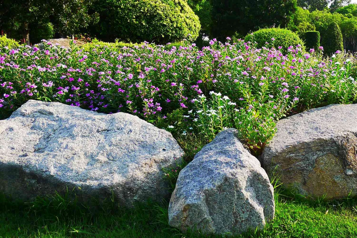 rock garden ideas rocks boulders