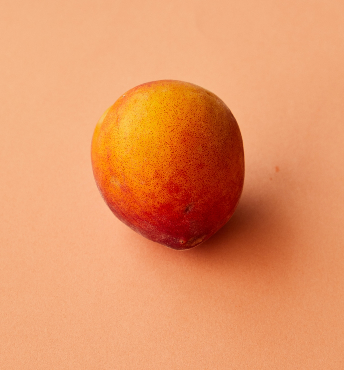 what is the difference between an apricot and a nectarine