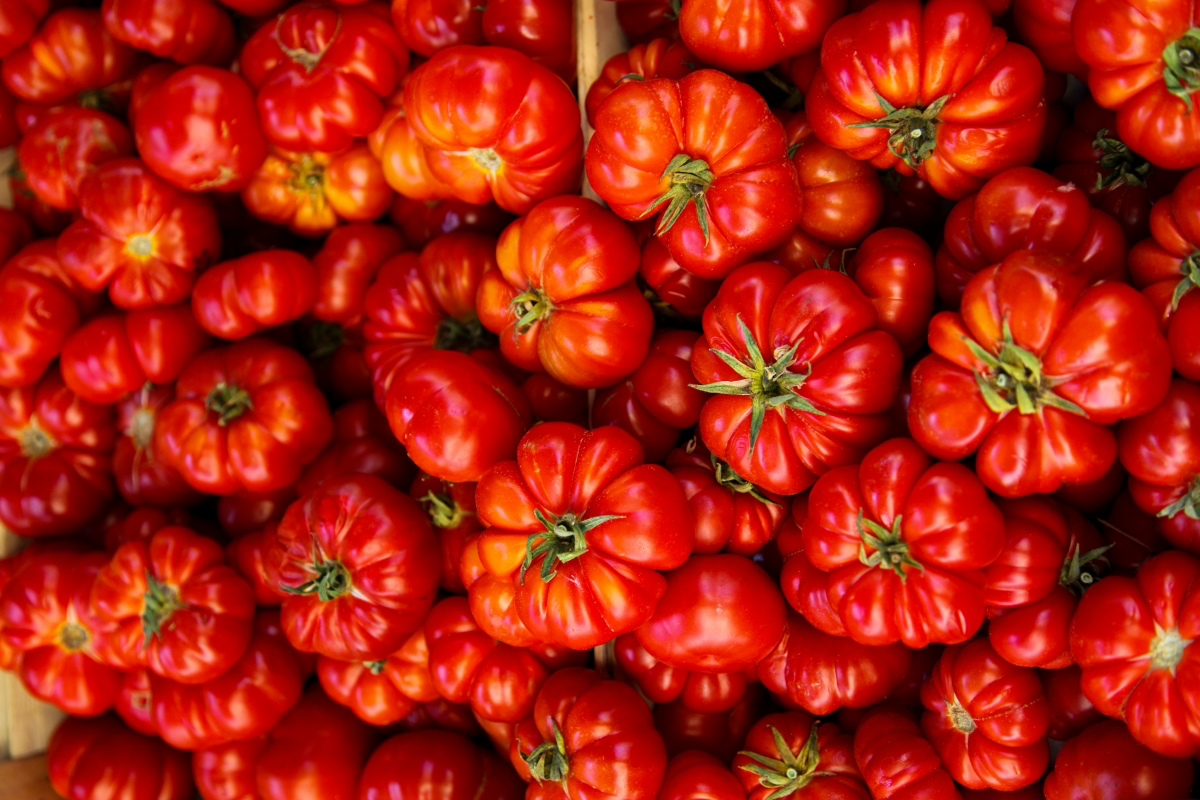 eating tomatoes health benefits