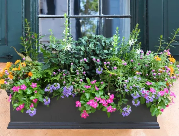 flower box on windowsill