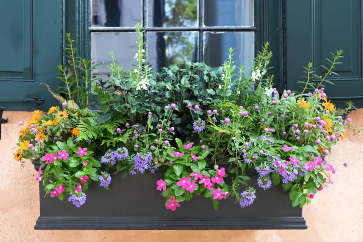 5 Beautiful Flower Box Ideas To Add To Your Home