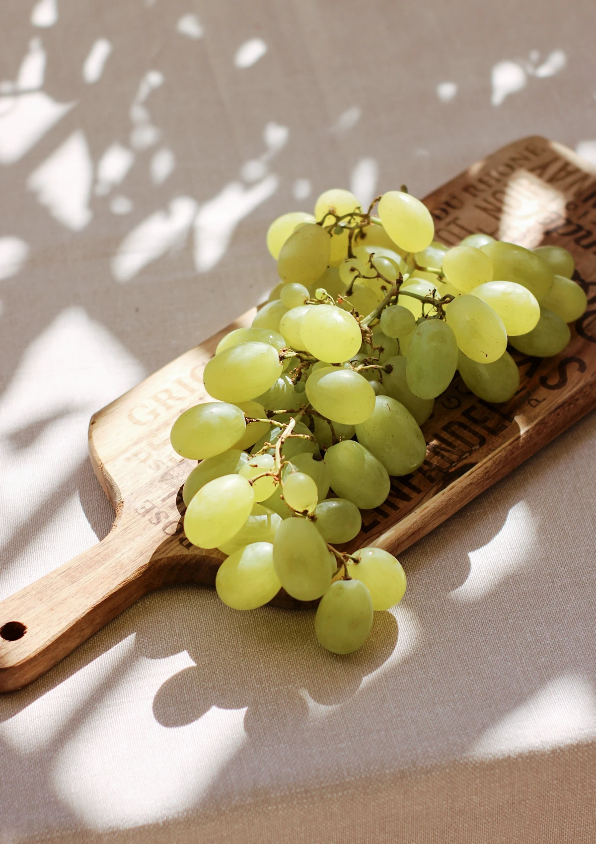 foods that are toxic to cats white grapes on board