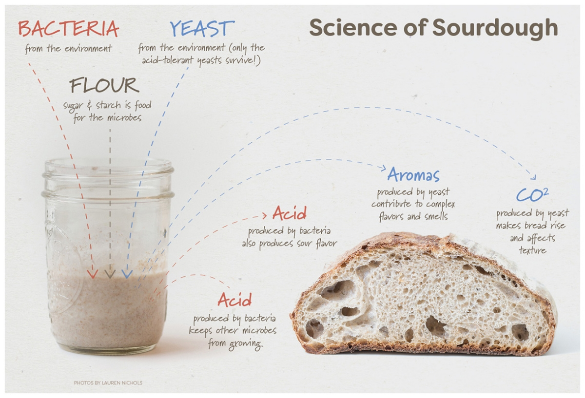 quick start sourdough starter