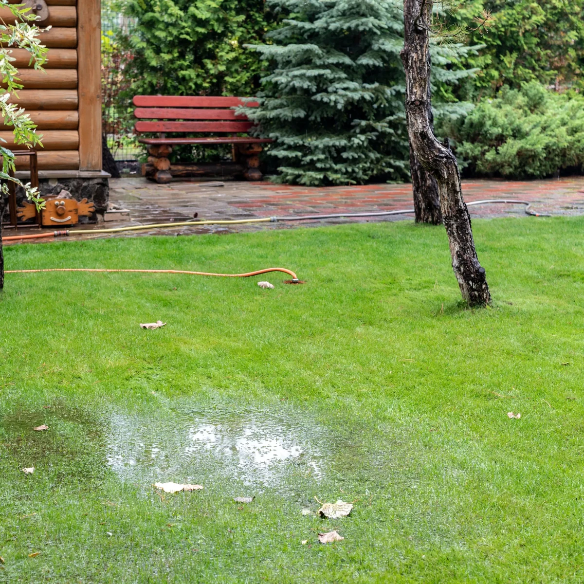 signs you are overwatering your lawn puddles on a lawn