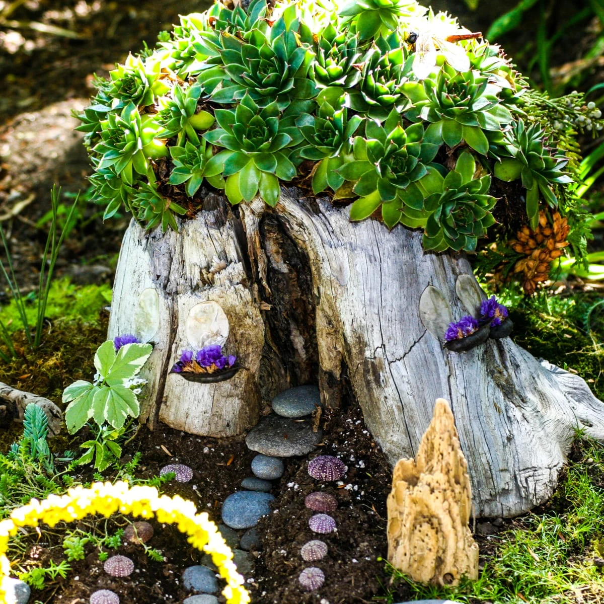tree stump ideas fairy gardens with succulents
