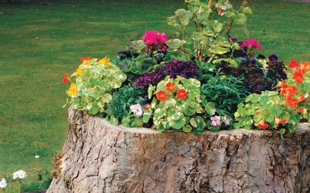 tree stump ideas planter stumo