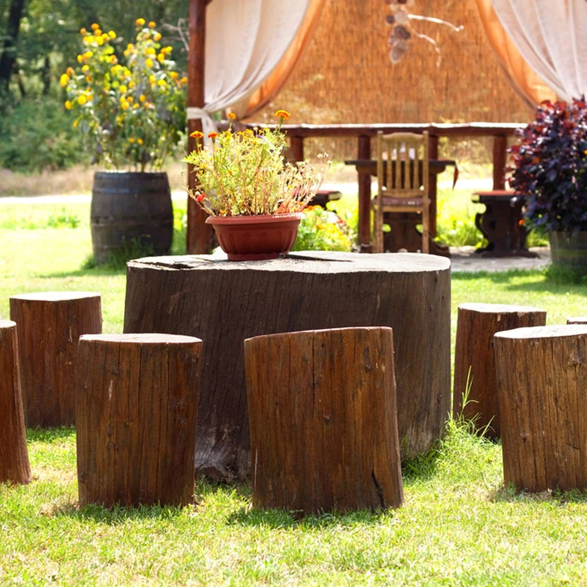 tree stump table and chairs