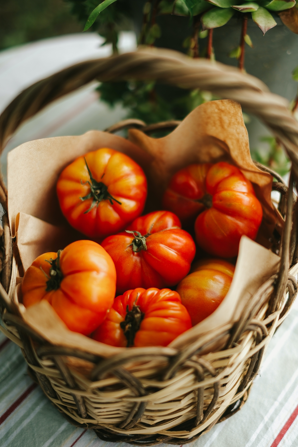 what health benefits does tomatoes have