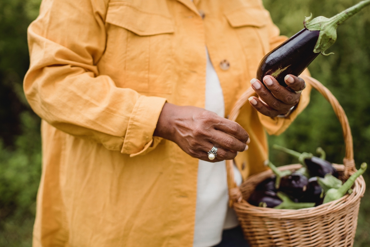 what vegetables are good to plant in september