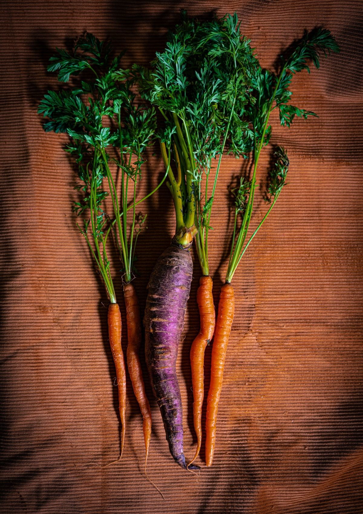 what veggies are good to plant in september