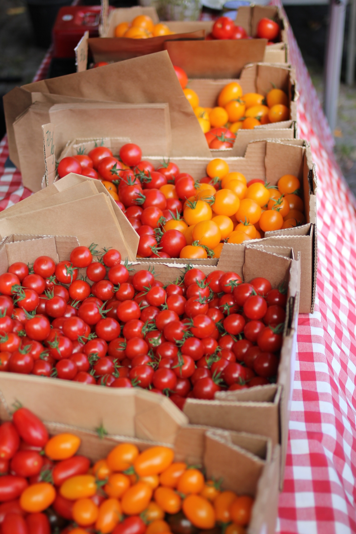 why is tomato good for heart