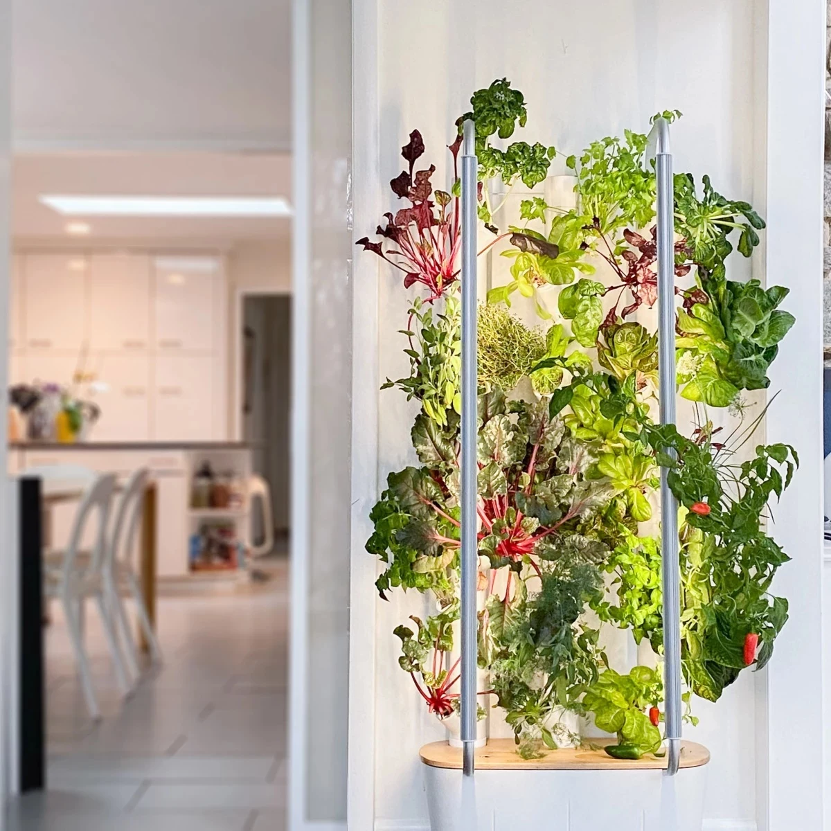 benefits of indoor gardening indoor planter