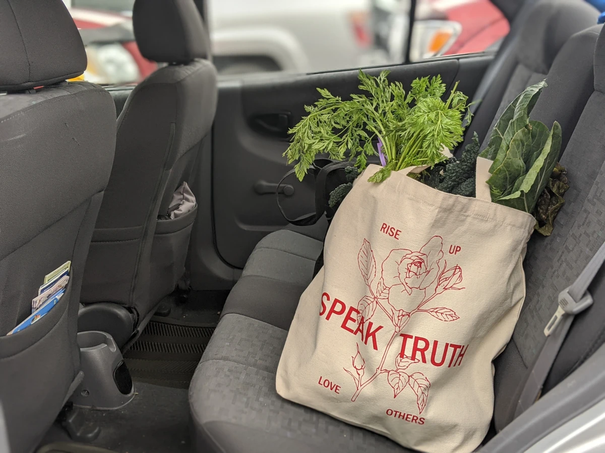 car seat with grocery bag