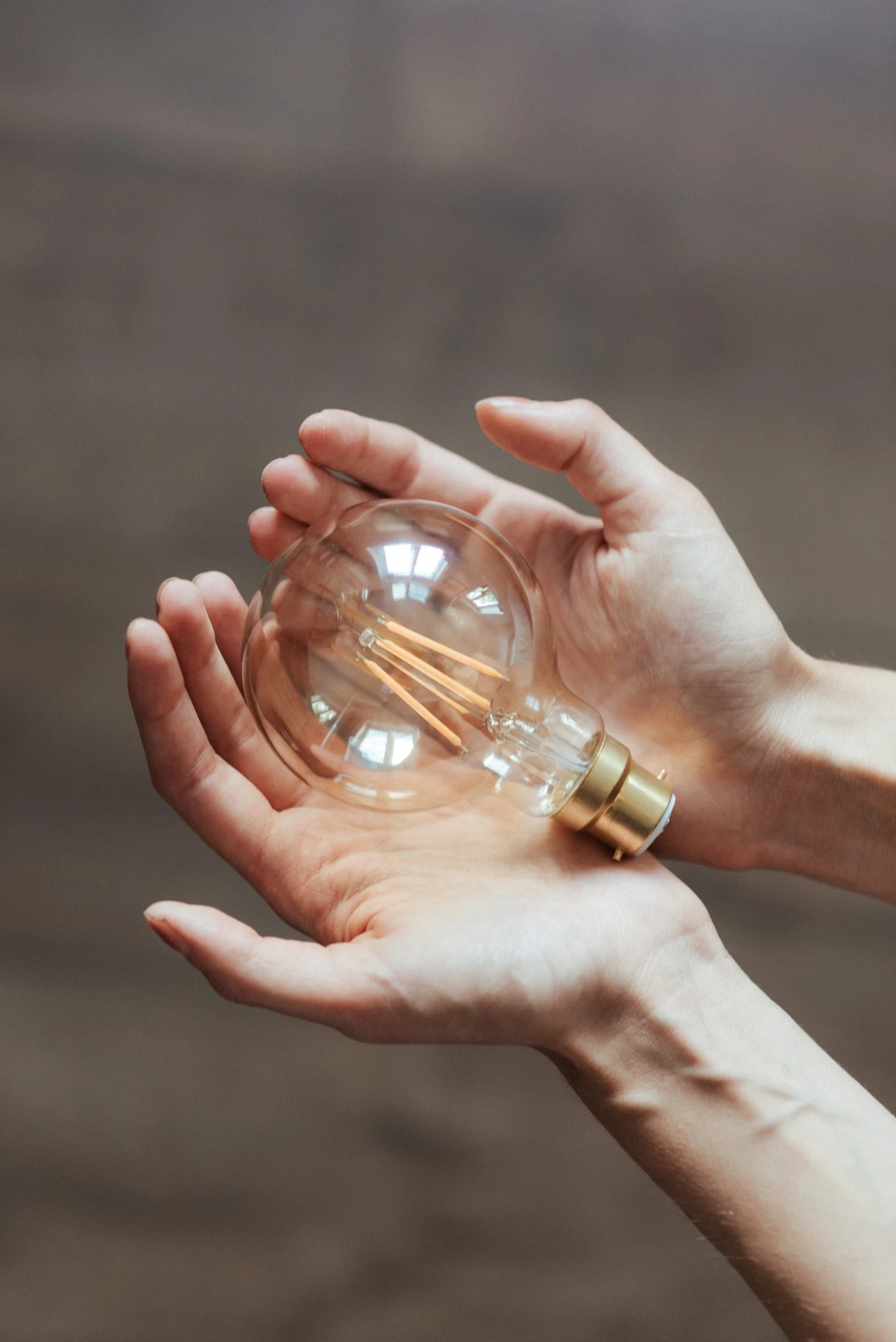 energy saving myths hands holding light bulb