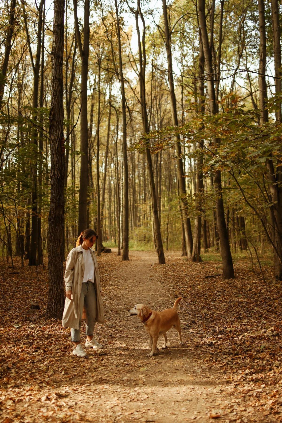 fall pet safety tips woman and dog in woods