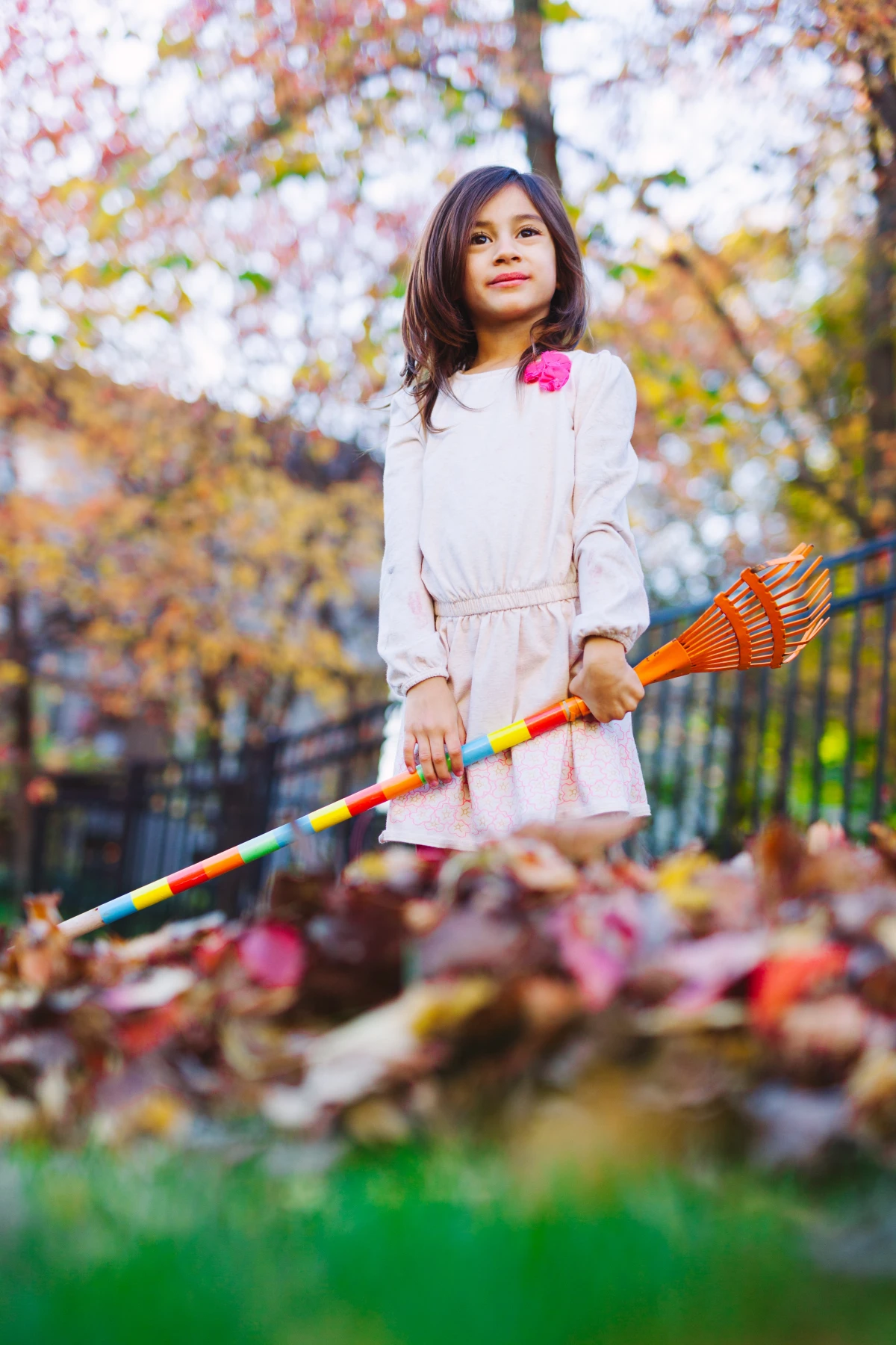 fall yard clean up raking girl