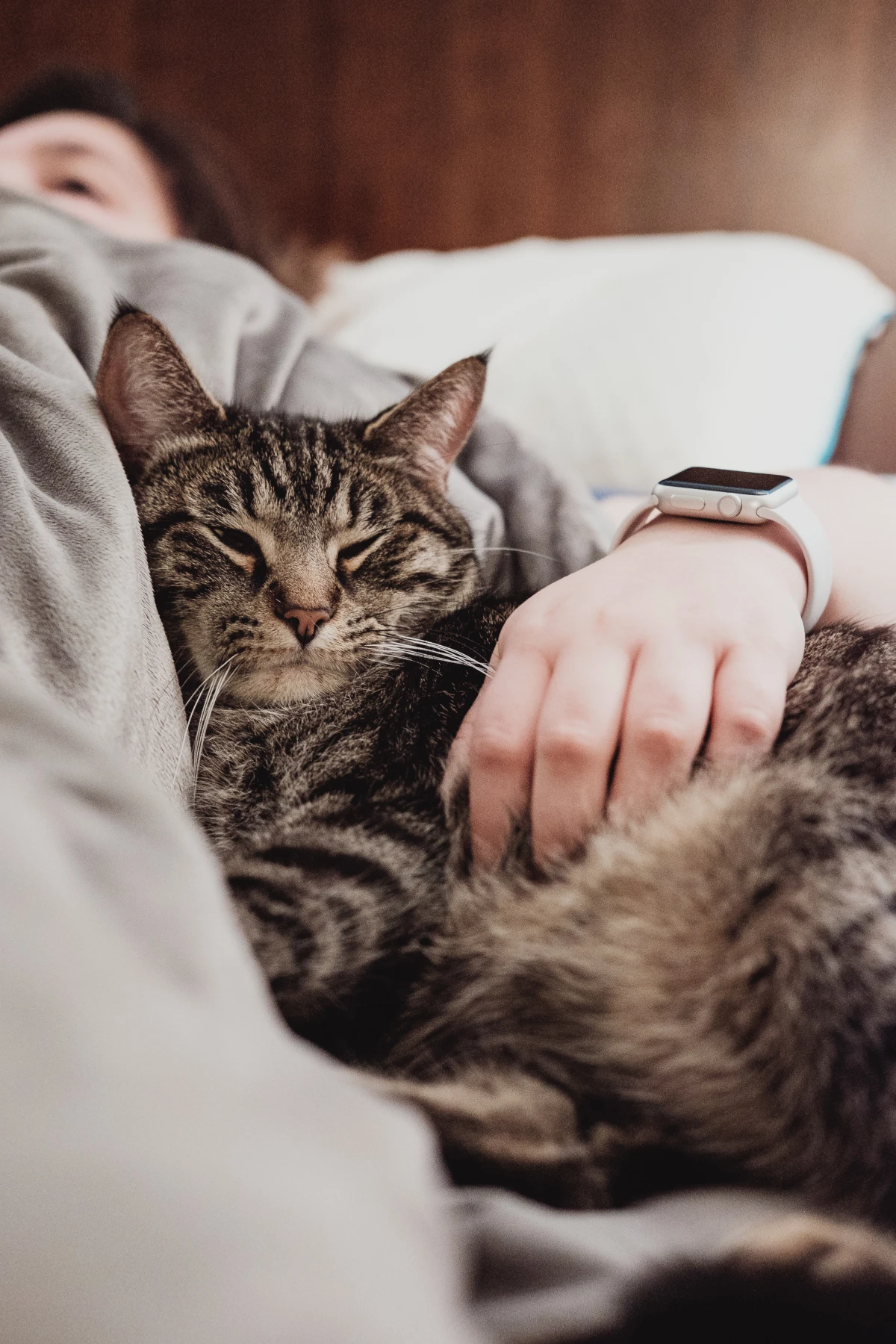 health benefits of owning a pet cat snuggling owner