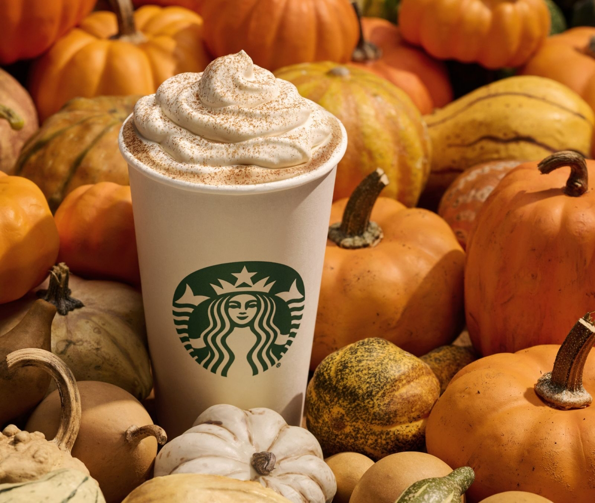 how to make pumpkin spice flavored coffee