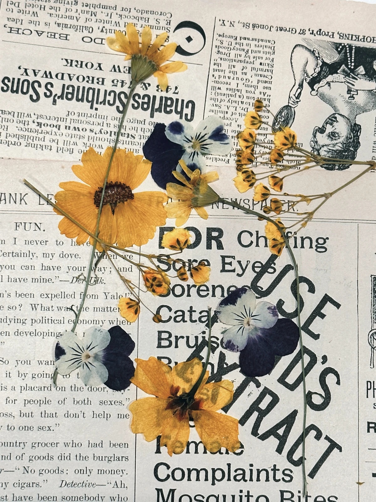 how to press flowers pressed yellow flowers