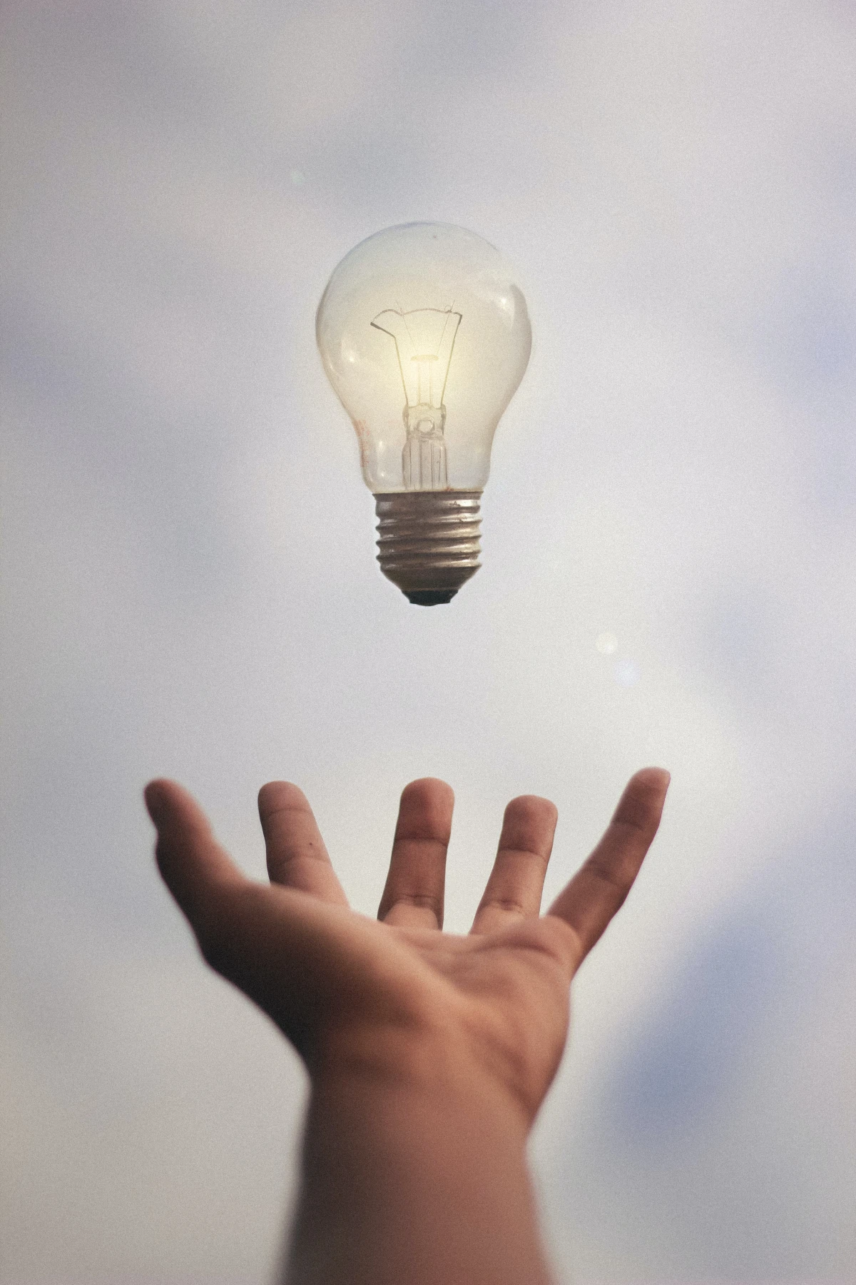 light bulb and hand