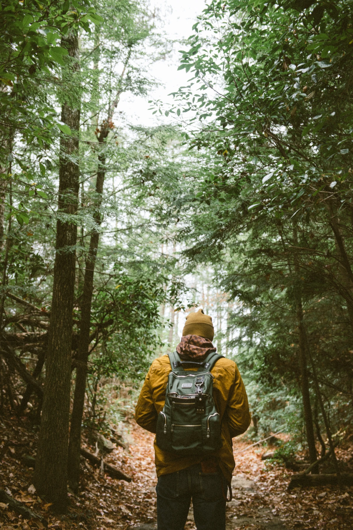 man hiking through trail