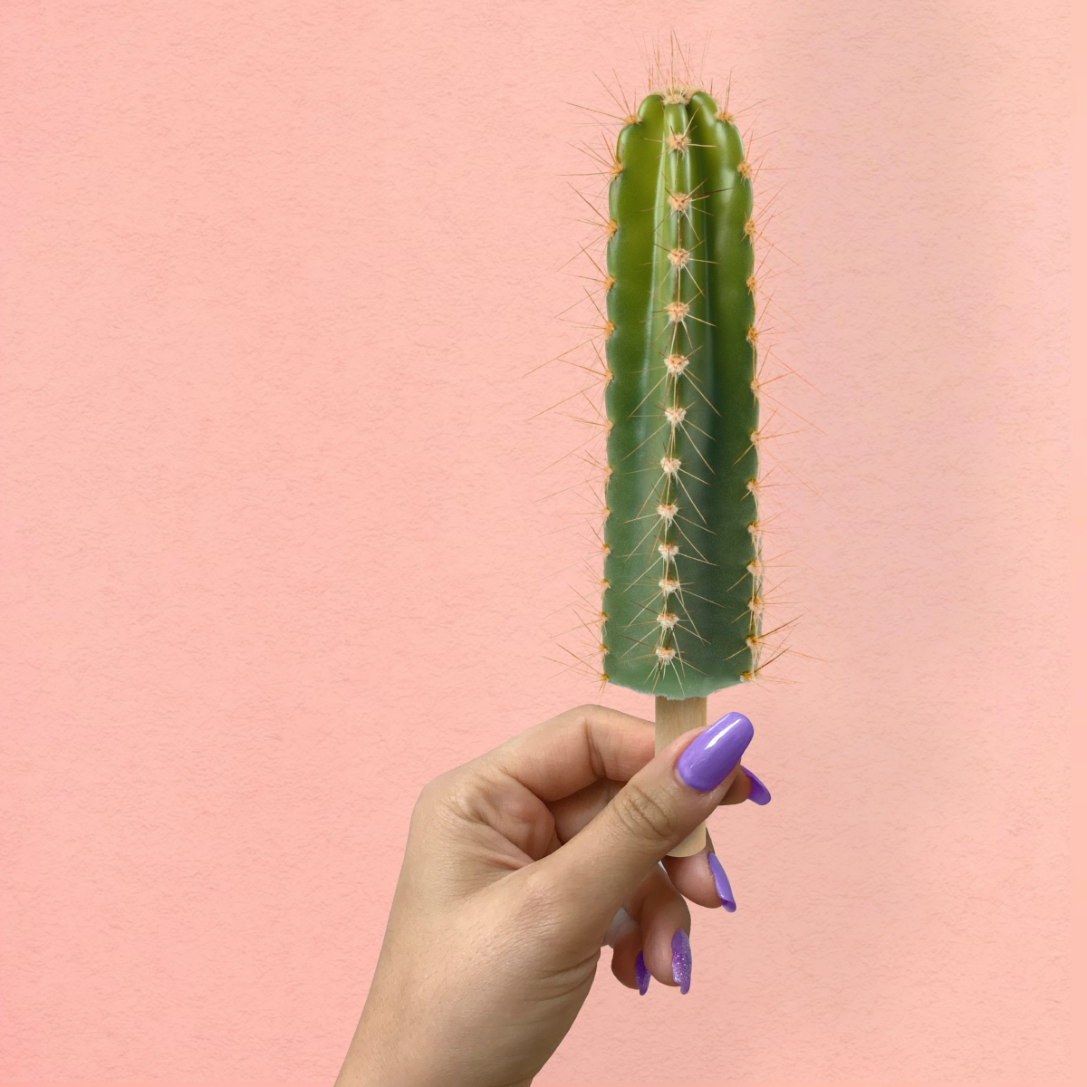 6 Unique & Rare Cactus Plants You Need in Your Home